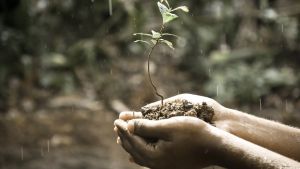 Cartas al director de HERALDO: Madre Tierra