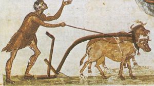 El arado