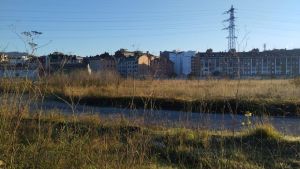 De planta industrial a parque eventual: Langreo pide a Duro la cesión temporal del uso de los terrenos de Felguera Melt para poner en marcha un espacio verde para los vecinos