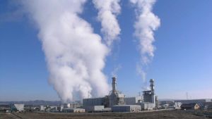 Ecocidio en Castejón