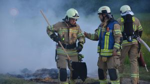 Frühjahrsübung der Feuerwehr am Stall mit 200 Kühen