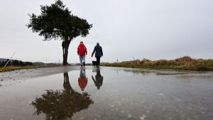 Eisheilige bringen Schauer, Wind und Frost in den Südwesten – Warnung vor Dauerregen im Schwarzwald
