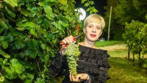 Vigna di Sarah, rubato un furgone: è stato usato dai ladri per altri colpi