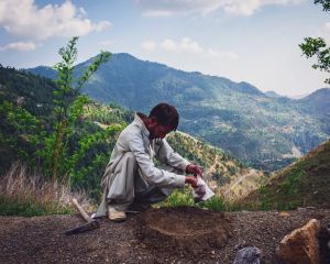 'Where Silence Falls and Survival Speaks': The last guardian of Gabral Valley