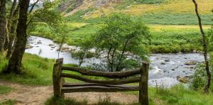 Nature restoration isn’t often top of the political agenda – here’s how Wales does it