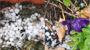 Grandinata sul lago d’Iseo e sulla Franciacorta, chicchi grossi come noci e auto danneggiate