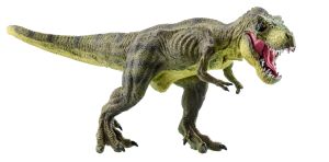 Why did Tyrannosaurus rex have such short arms?