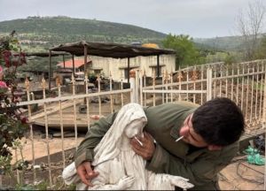 IDF jails soldiers for photo of cigarette in mouth of Virgin Mary statue in Lebanon