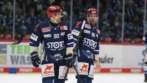 Warum die Spink-Zwillinge die Wild Wings verlassen