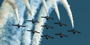 Grounding the Snowbirds?