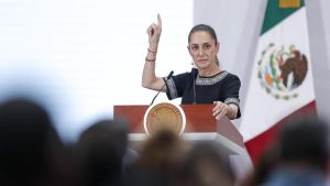 El mestizaje: entre la historia y la política