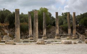 Knesset advances controversial West Bank antiquity bill in first reading