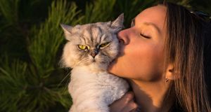 When does ‘rage baiting’ your cat cross the line from playful fun to torment? Experts weigh in.