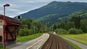 Tren de vida