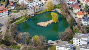 Fischsterben sorgt für Aufregung und Spurensuche in Pfullendorf