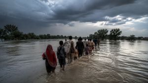 Valuing Life, Not Pricing It: Why Pakistan Needs VSL In Policy