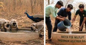 How Youth in Bidar Are Helping Wildlife Survive Karnataka’s Brutal Summer Heat