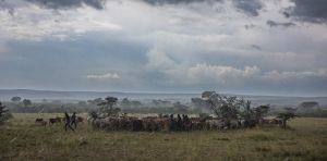 Conserving 30% of the planet will only succeed if people are part of the plan