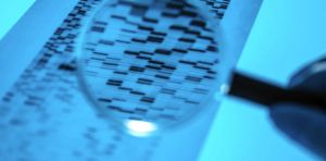 Genome sequencing is rewriting the history of disease outbreaks – but without social context, it can tell only part of the story