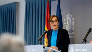 El Gobierno aprueba la ley que prioriza la gestión pública de la sanidad