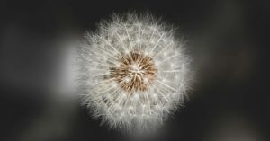 The Sensitivity Paradox