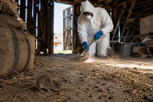 The Next Pandemic May Begin in a Barn
