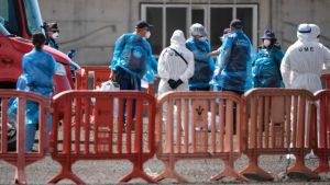 Hantavirus e nuovi allarmismi. Tacconi: “Consiglio la calma e di seguire le regole base di igiene”