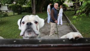 Rapina in villa a Treviso, caccia al dna. Il morso può incastrare i ladri