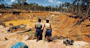 Crece la minería ilegal y arrasa con Tambopata