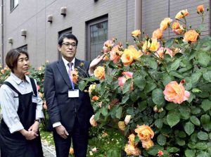 Tokyo Junior High School Still Nurtures ‘Anne Frank’ Roses After Half A Century; Students Received Original Plants from Famed Diarist’s Father
