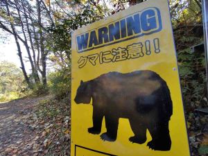 Bear Sighting Reported Near School, Residential Area in Tokyo’s Hachioji