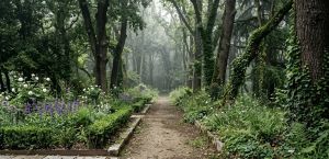 Entre el bosque y el jardín | Por: Arianna Martínez Fico