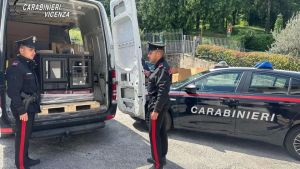 Andavano in azienda durante i giorni di chiusura per rubare le stufe, poi le rivendevano su Internet: tre denunciati