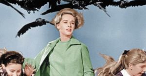 Ecco la vera storia (e l'autore) degli Uccelli di Hitchcock