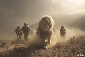 Lions of Israel (Bamidbar)