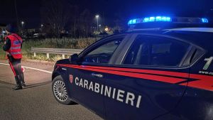 “Stupro e violenze sulla fidanzatina”, il diciottenne è accusato anche di averle ucciso il gatto calpestandolo.
