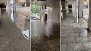 Inundaciones en el portal, 