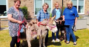 Miniature donkeys make special visit to care homes