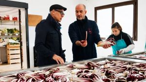Radicchio, tiramisù e Prosecco, il tour di Stanley Tucci tra i sapori di Marca: «Gusti indimenticabili»