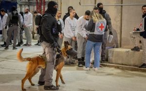 From Rutgers speaker to Kristof column, bogus anti-Israel dog rape claim goes mainstream