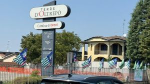 Ladri di rame alla cantina Terre d'Oltrepò: rubato un ingente quantitativo di cavi elettrici