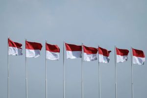 Why Saudi Arabia’s PIF should build battery storage factories in Indonesia