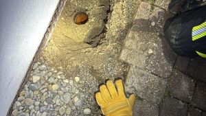 Achtung Tiernotruf: Feuerwehr saugt Marder aus Regenrohr