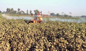 Pakistan Business Forum seeks return of agriculture, industry to federal control under proposed 28th Amendment