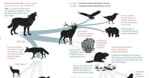 Tatiana Giraud, spécialiste de la biodiversité : «Nous ne sommes pas encore dans une extinction de masse généralisée, mais on s’en approche»
