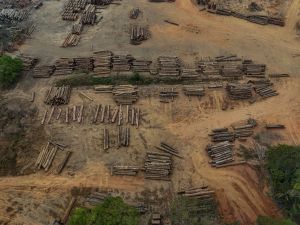Amazon Deforestation Falls to Lowest Levels Since 2018