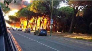 Incendi in pineta, ridotta la pena all’operaio. “Colpevole in 14 casi su 50”