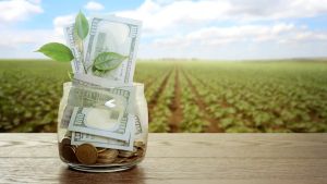 Finagro y Banco Agrario: crédito en crisis