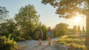 Risolto il nodo gestione: riapre il giardino botanico Carsiana di Sgonico