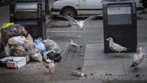 Lud­d­ov­ne by­bo­e­re vil ikke gå mere end ti skridt - og det er sim­pelt­hen for pri­vil­e­ge­ret